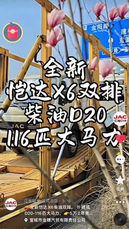 全新愷達(dá)X6柴油雙排，德威D20-116匹大馬力。